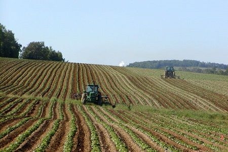 L'agricoltura batte la disoccupazione con +7,1%