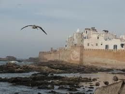 Carovana cafoscarina esplora il Marocco