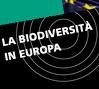 UE presenta strategia per arrestare perdita di biodiversità