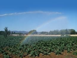 L’agricoltura deve rimanere la priorità d’uso dell’acqua dopo il consumo umano