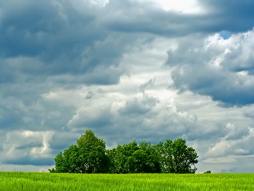 Un Parco di nuova concezione a Padova