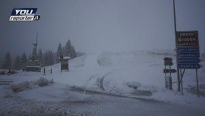 Maltempo: serre scoperchiate e alberi abbattuti