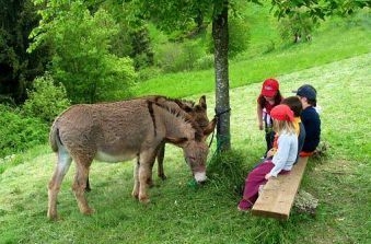 Fattorie didattiche: in crescita domanda e qualità