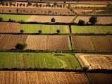 Presentati primi dati su agroalimentare veneto, 2015 sull’ottovolante