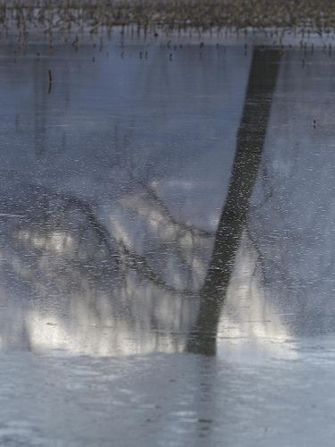 Maltempo: allarme gelo per le verdure in campagna