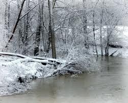 Maltempo: peso neve fa crollare vigneti, è calamità