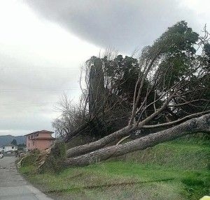 Maltempo: milioni di danni, la mappa dalla Toscana alle Marche