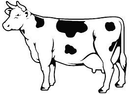 Il Giappone dà il via libera a importazioni di carni bovine italiane