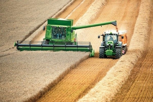 Paura nelle campagne: a picco i prezzi dei prodotti agricoli