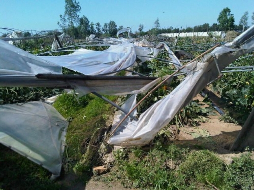 Tornado a Venezia: danni a agricoltura per 4 milioni di euro