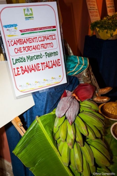 Crisi: aguzza ingegno, prime banane italiane e agridetersivo