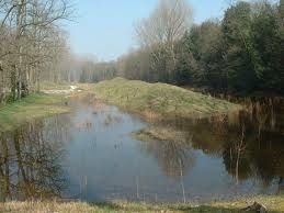 Chioggia (Ve) Bosco Nordio: la natura dice “si”