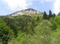 Gestione sostenibile delle foreste, filiera locale del legno