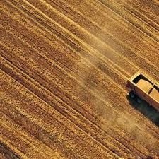 Caldo: terra mai stata cosi bollente. E' record