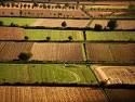 Pil: agricoltura in controtendenza, ma inferiore al 2009