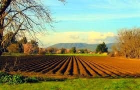  Commissione all'agricoltura UE a sostegno degli agricoltori