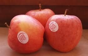 IGP per il Salame Felino e la Mela Rossa Cuneo