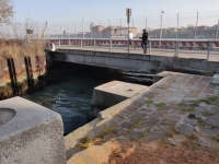 immagine: Via ai lavori di ricostruzione di Ponte San Nicolò a Venezia