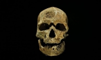 immagine: L’homo sapiens europeo più antico abitava una grotta bulgara