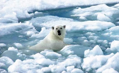 Il riscaldamento globale e l’assalto alle ricchezze dell’Artico