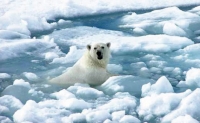 immagine: Il riscaldamento globale e l’assalto alle ricchezze dell’Artico